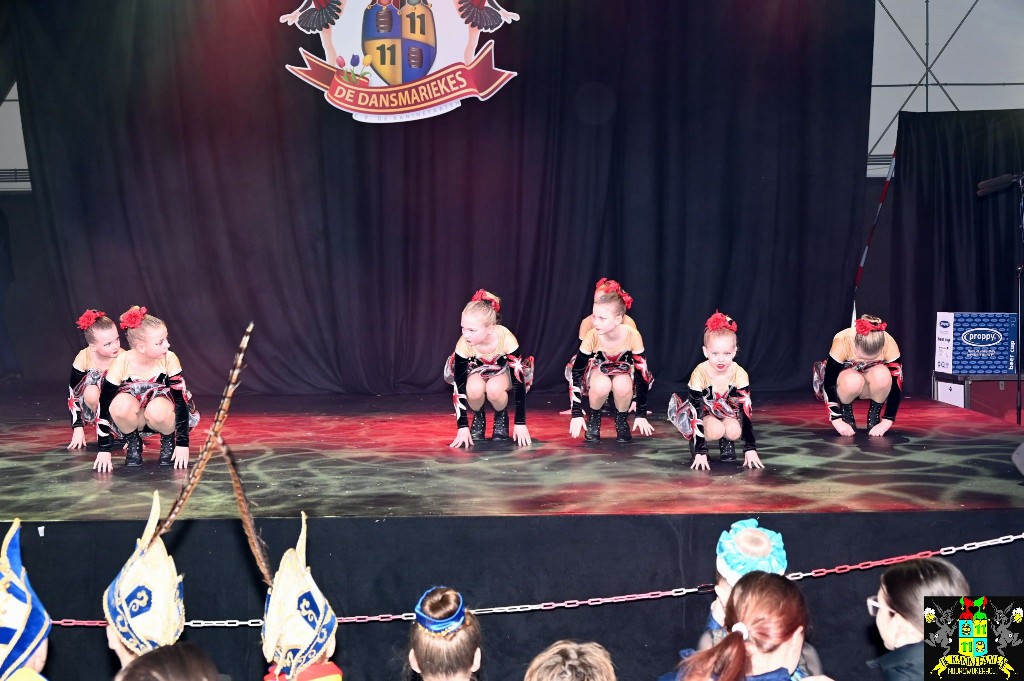 ../Images/Dansmariekefestival 2026 043.jpg